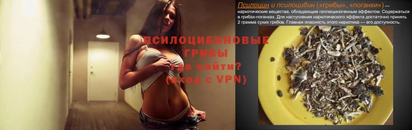винт Абаза