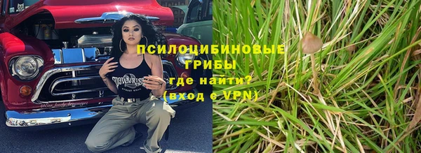 винт Абаза