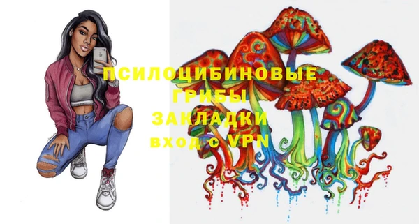 винт Абаза