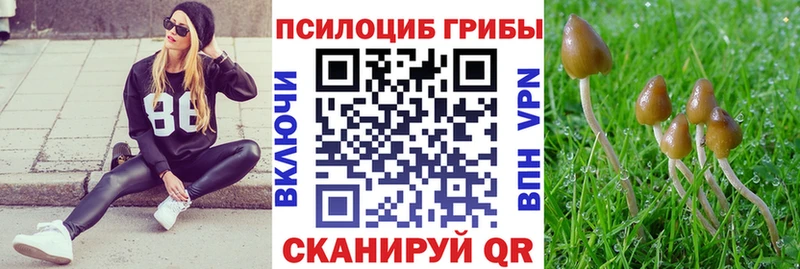 Псилоцибиновые грибы MAGIC MUSHROOMS  kraken зеркало  shop состав  Яблоновский 